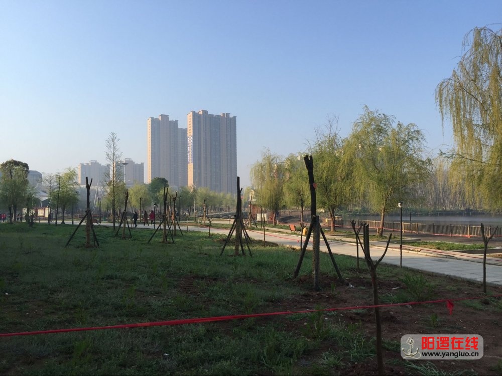QQ图片20170407224933.jpg