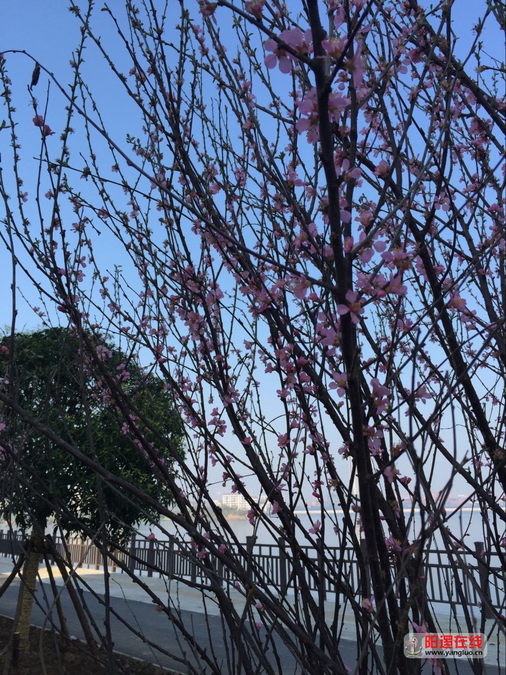 QQ图片20170407224735.jpg