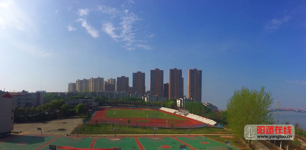 阳逻在线_20170411_103800.jpg