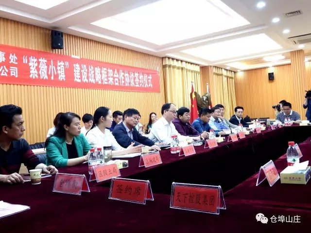新洲区仓埠街道办事处张爱平主任和陈潜峰董事长代表双方签字.webp.jpg