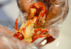 IMG_3232.GIF