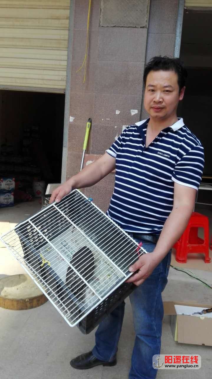 陈清阳.jpg