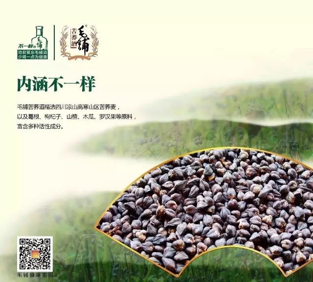 毛铺苦荞酒.webp.jpg