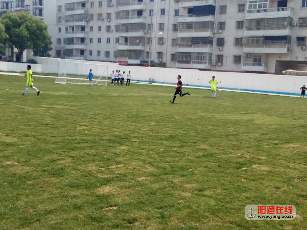 IMG_20170520_111916.jpg