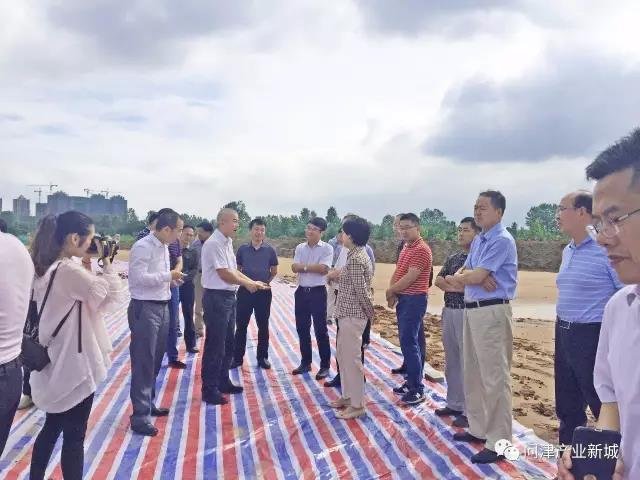 问津产业新城建设现场3.jpg
