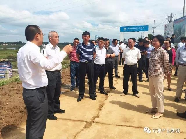 问津产业新城建设现场4.jpg