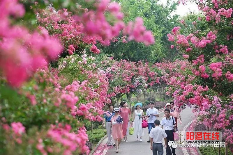 微信图片_20170607095409.jpg