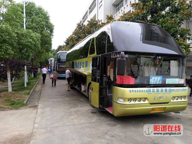 15辆送考大巴.jpg