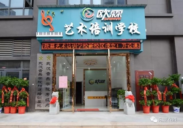 武汉音乐学院阳逻培训基地.webp.jpg