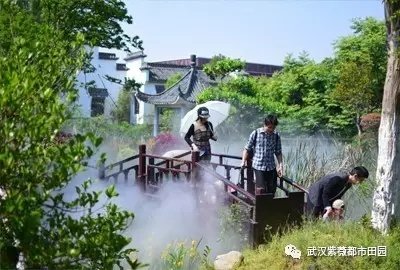 紫薇园2.webp.jpg