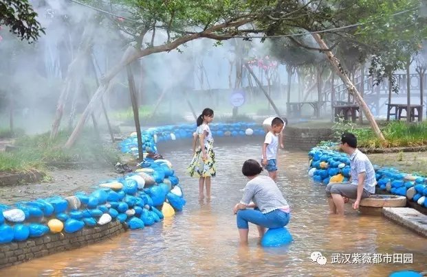 花溪戏水.webp.jpg