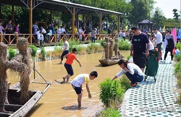 捉鱼摸虾.webp.jpg