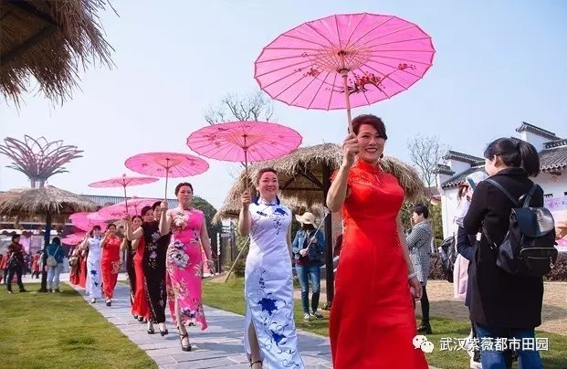 花海旗袍秀.webp.jpg