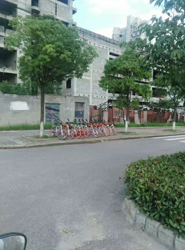 摩拜投放阳逻经济开发区2.jpg