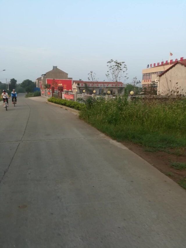 QQ图片20170806155235.jpg