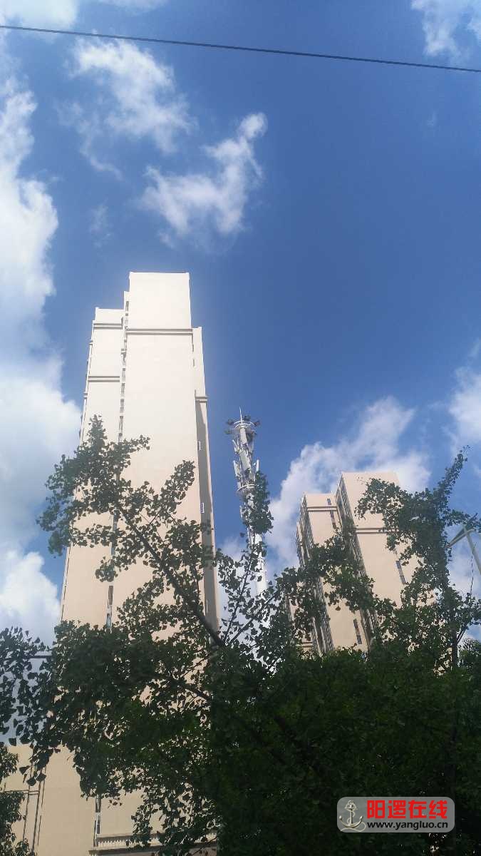 IMG20170719100904.jpg