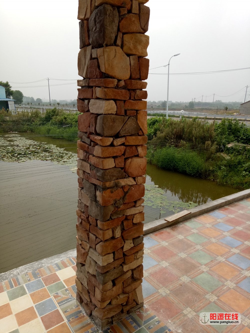 555.jpg