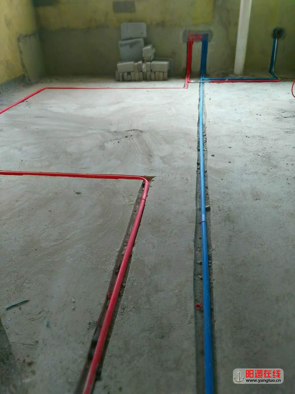 614587441723498813.jpg