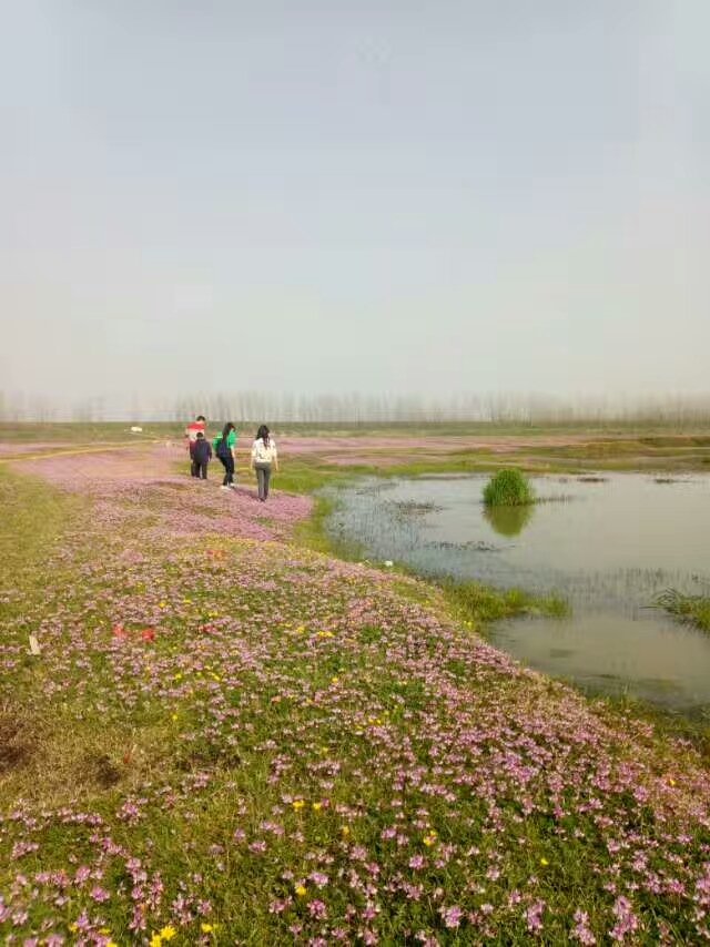 g_Camera0010000.jpg