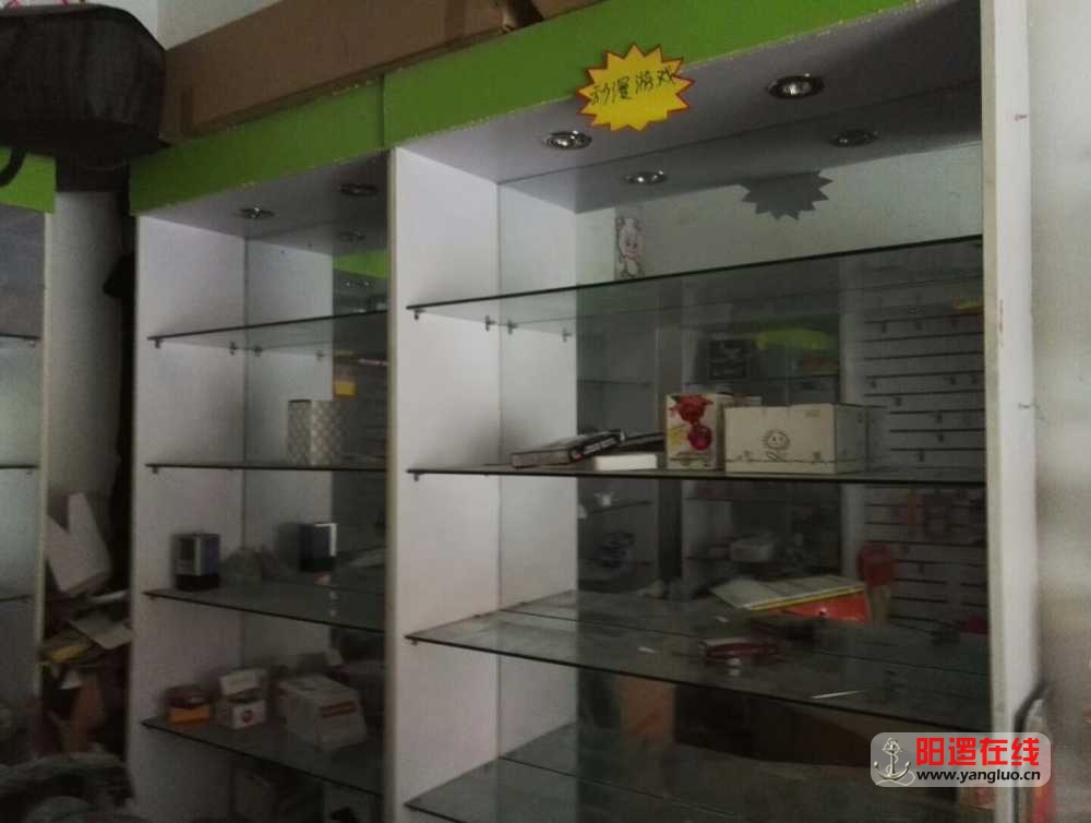mmexport1504939738950.jpg