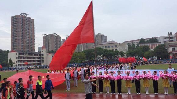 新洲区第39届中小学生田运会.jpg