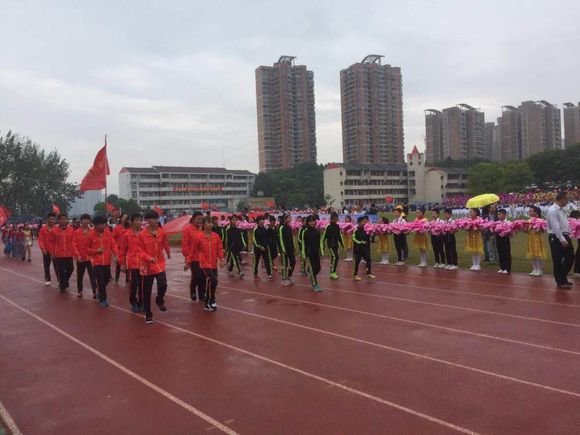 新洲区第39届中小学生田运会2.jpg