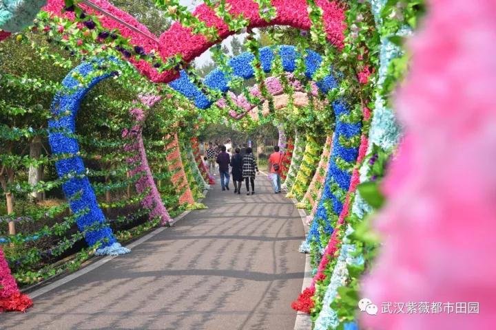 微信图片_20171004083935.jpg