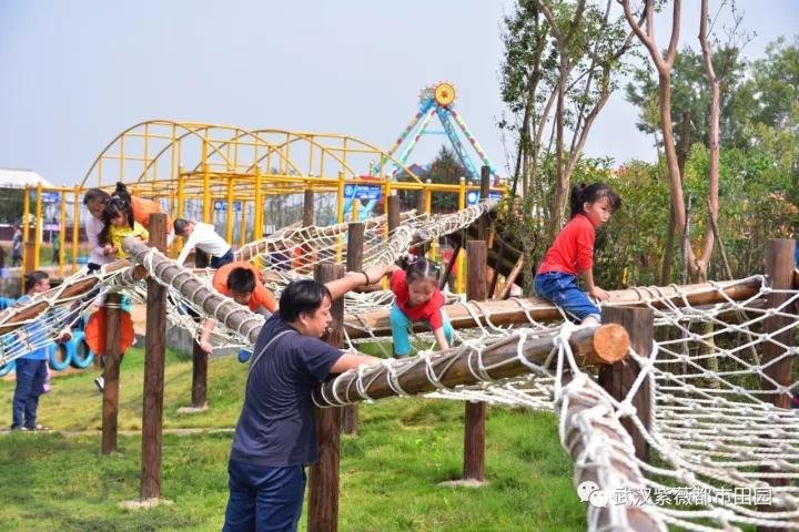 微信图片_20171004083958.jpg