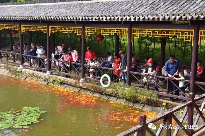 微信图片_20171004084003.jpg