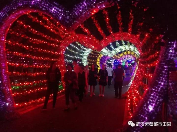 微信图片_20171004085143.jpg