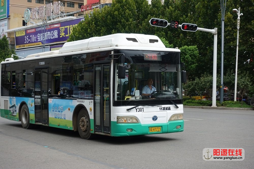 301.jpg
