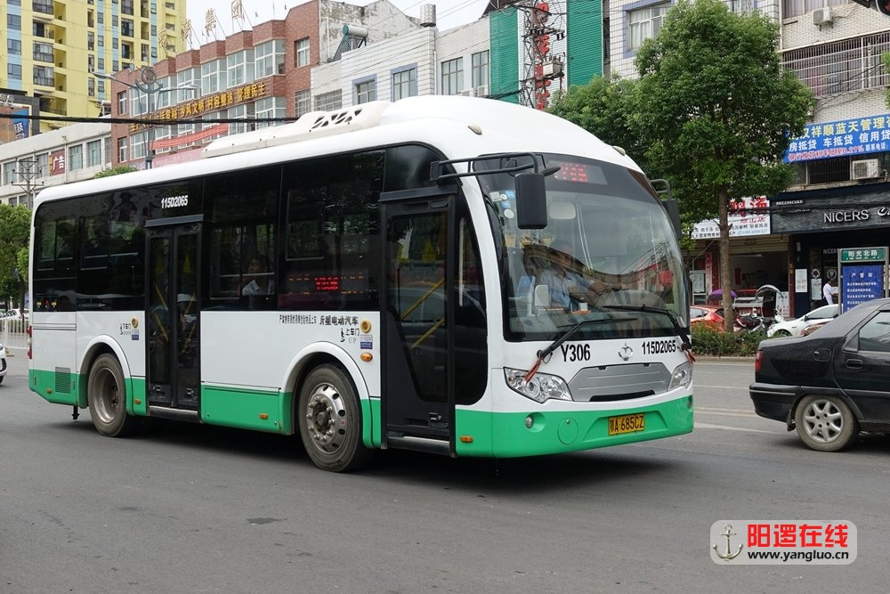 306.jpg