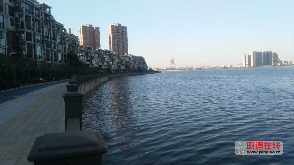 IMG_20171030_082506.jpg