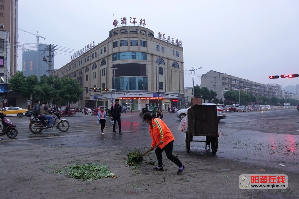 阳逻环卫工人.jpg