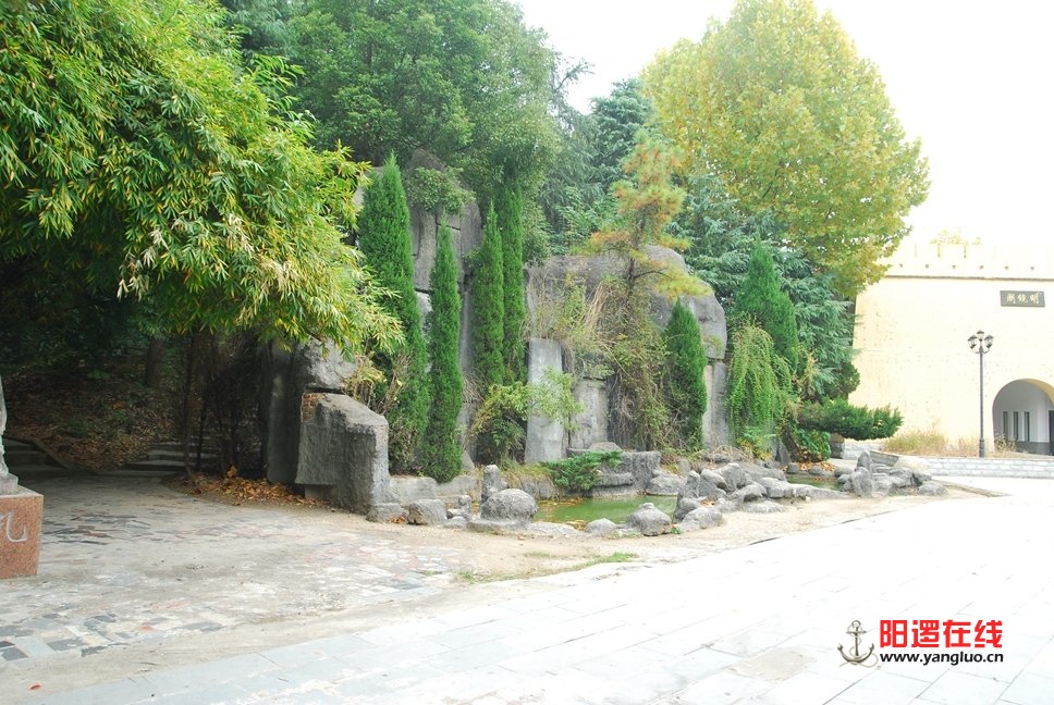 DSC_9791.JPG