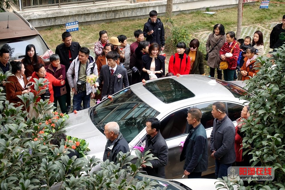 阳光明珠的婚礼.jpg