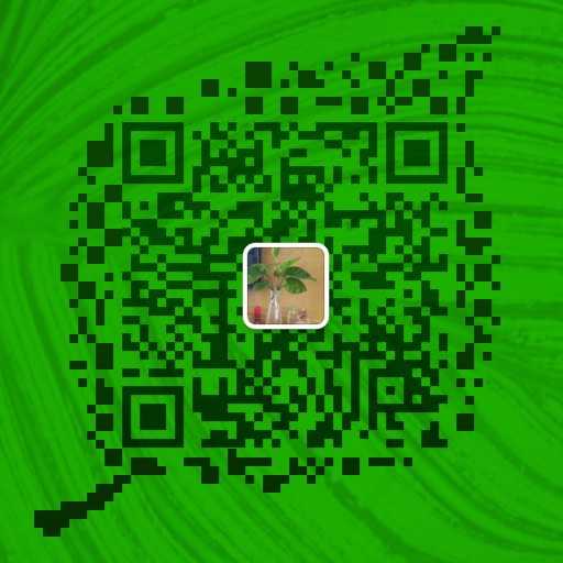 mmqrcode1511015462879.png