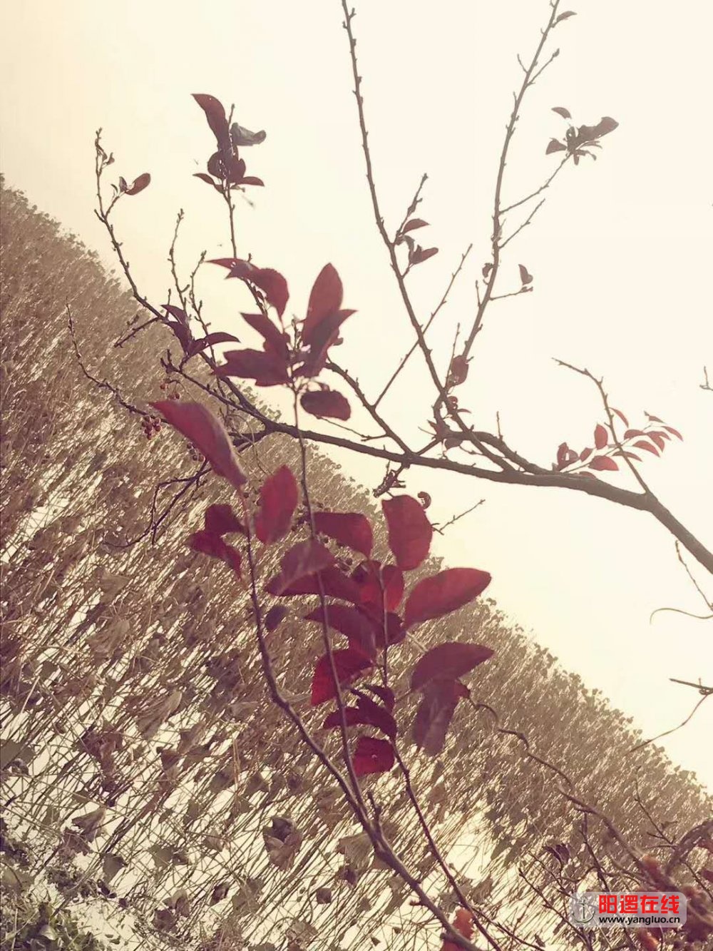 涨渡湖1.jpg