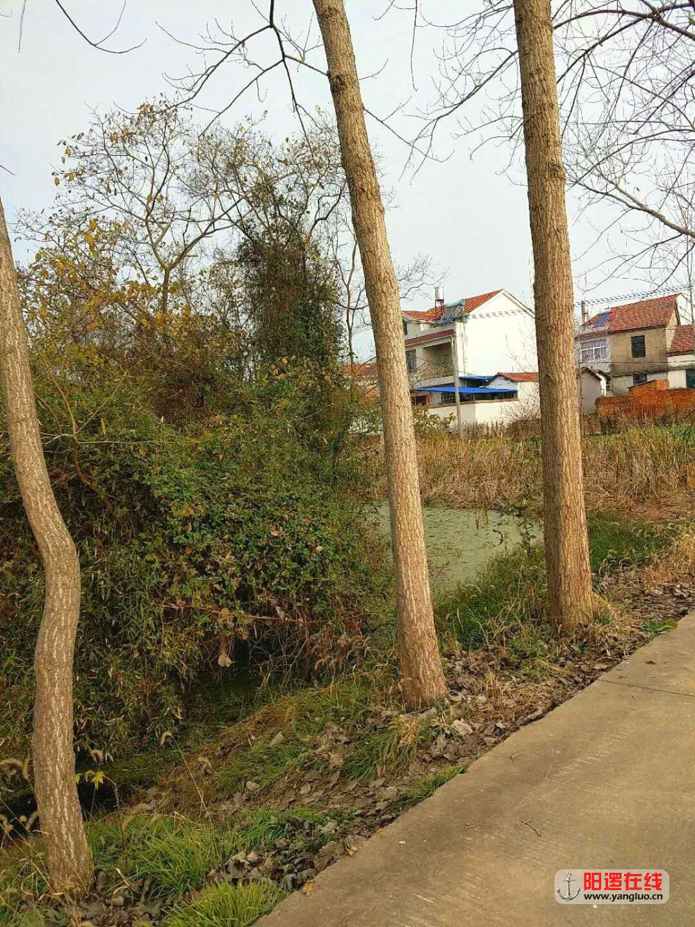魅力乡村 轭头塆 之冬景2
