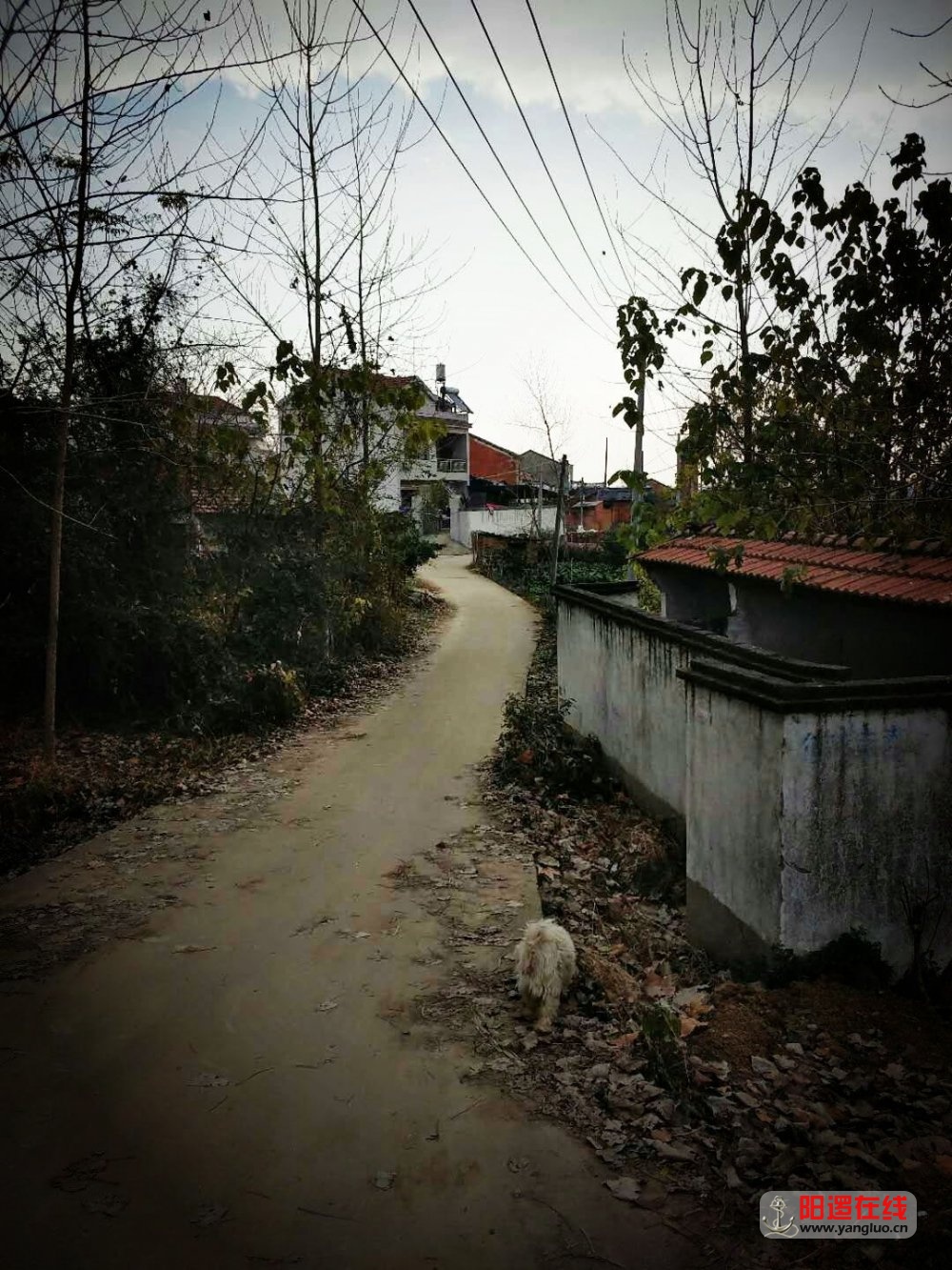 魅力乡村 轭头塆 之冬景6