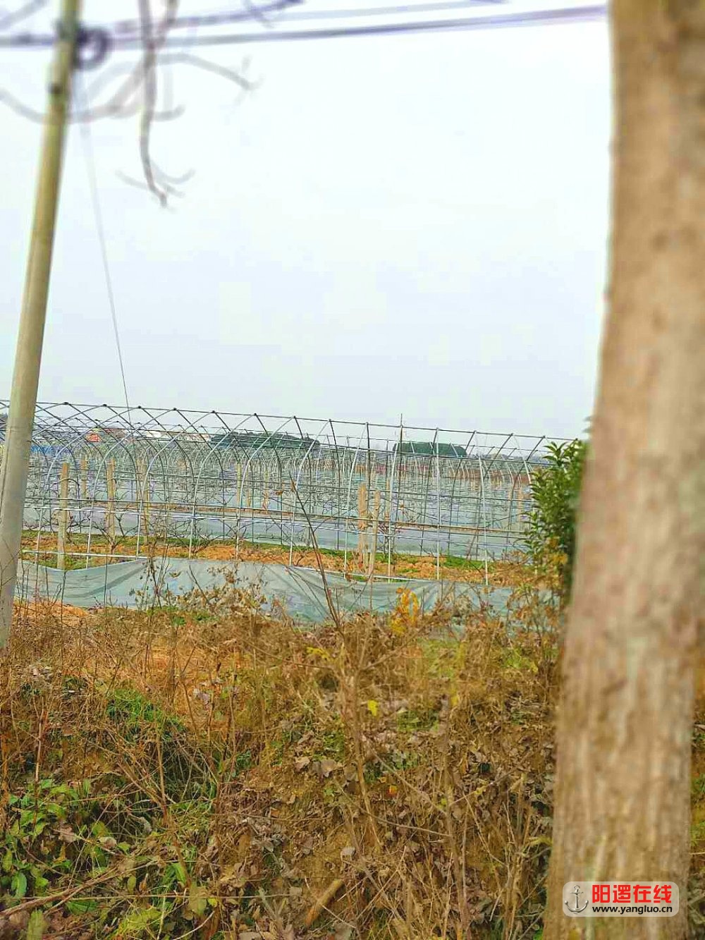 魅力乡村 轭头塆 之冬景9
