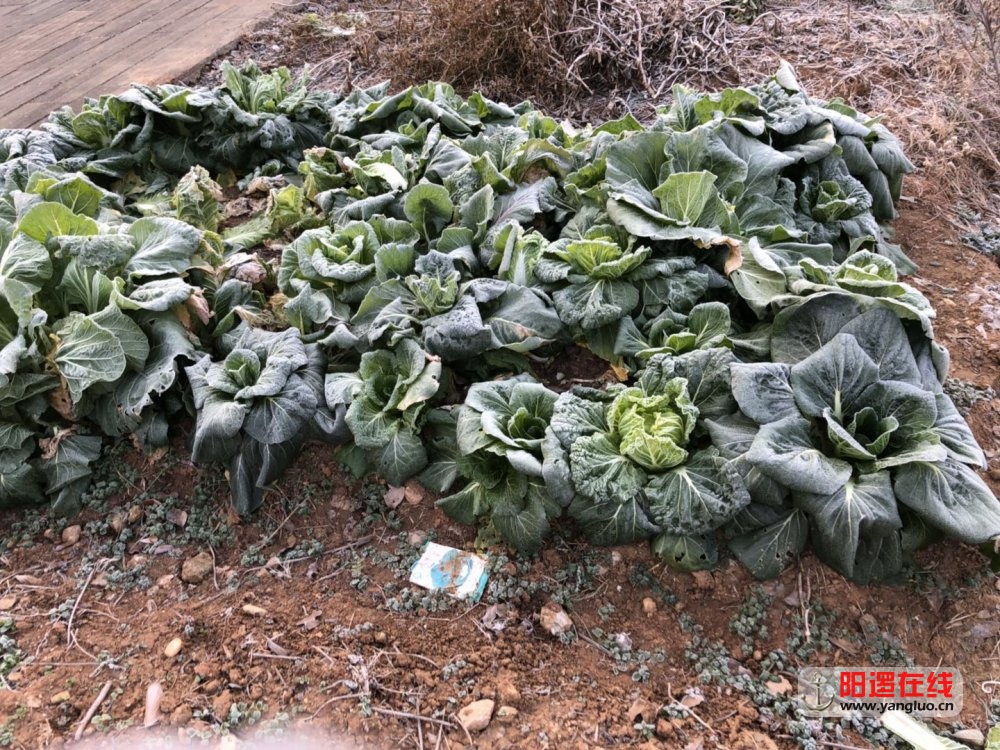 微信图片_20171218153910.jpg