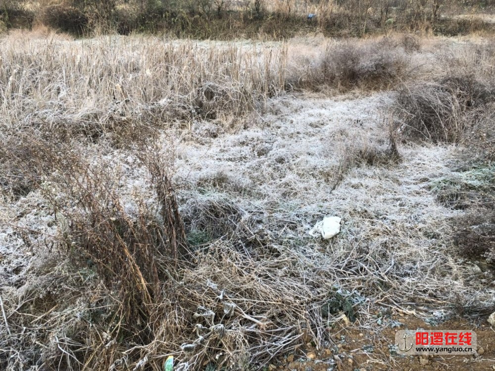 微信图片_20171218153902.jpg