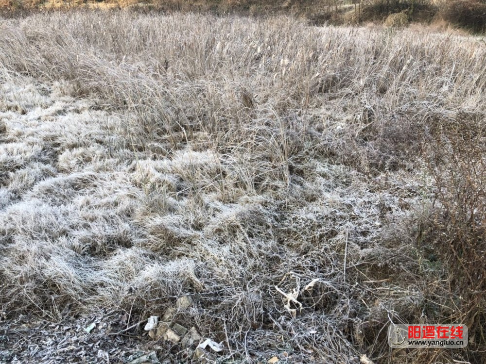 微信图片_20171218153858.jpg
