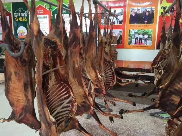 微信图片_20180122085607.jpg