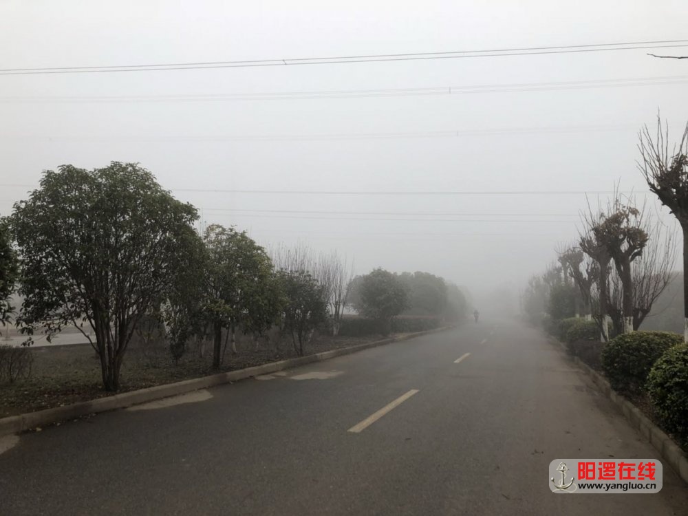 微信图片_20180122143618.jpg