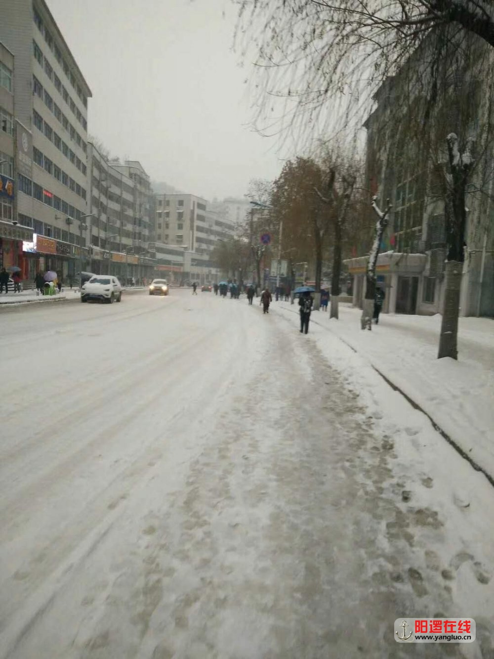 雪2.jpg