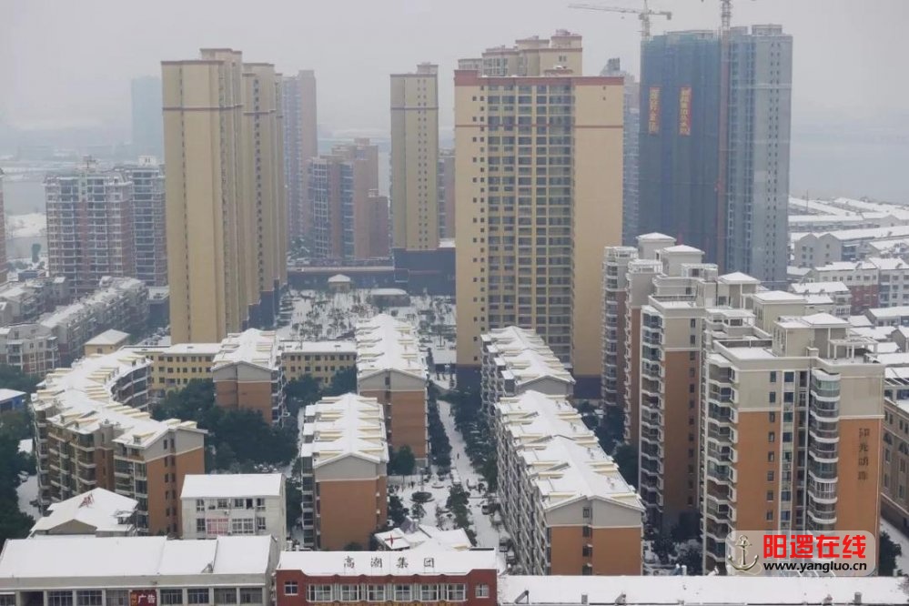 微信图片_20180129085222.jpg