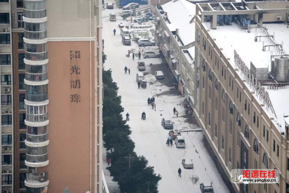 微信图片_20180129085259.jpg