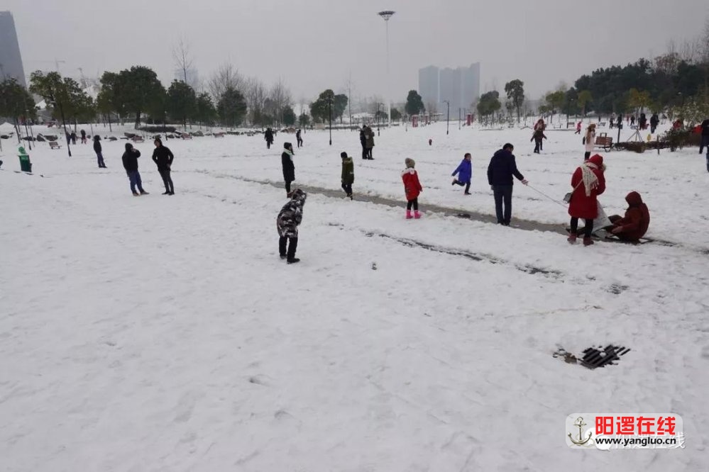 微信图片_20180129085344.jpg